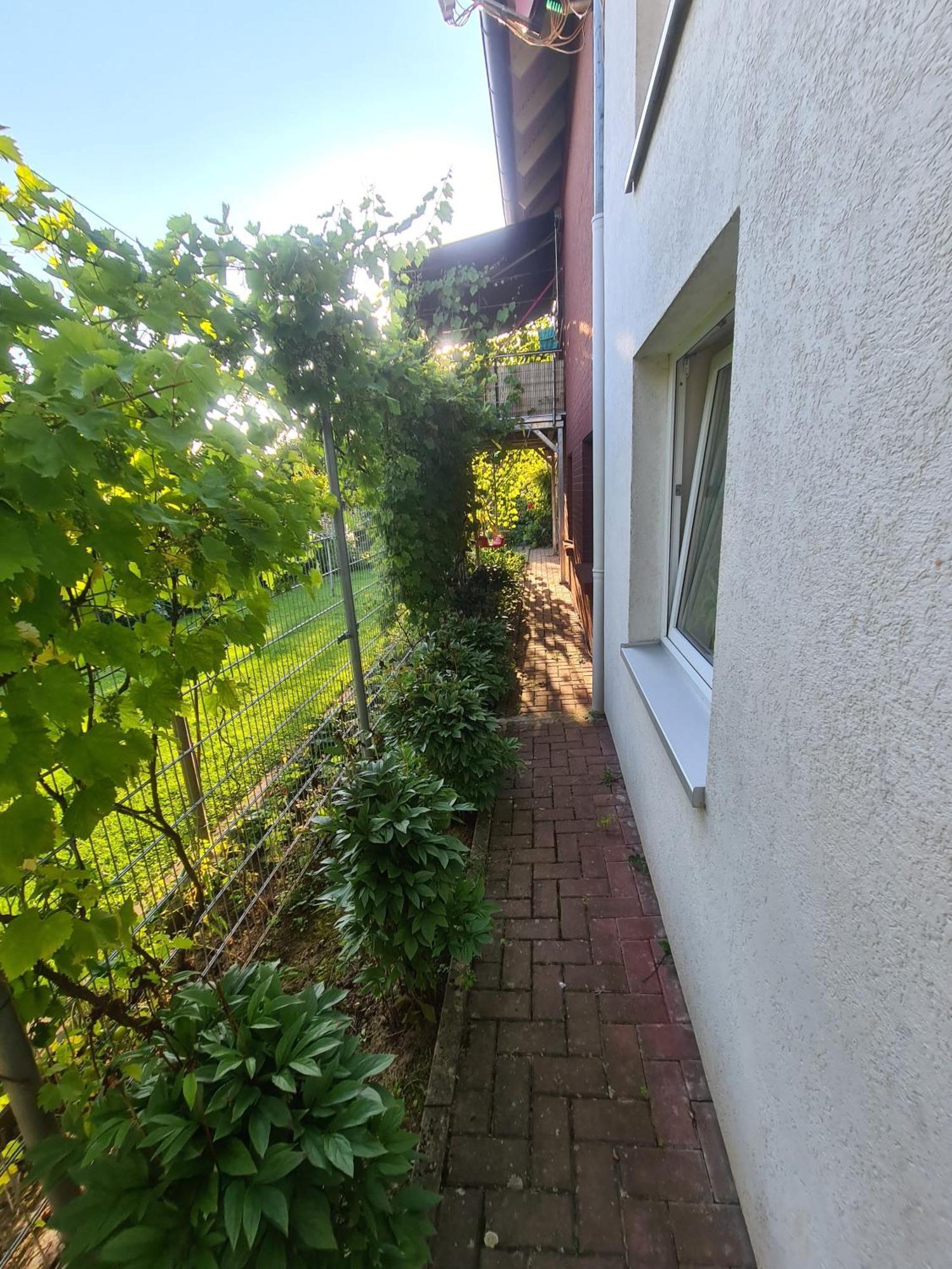 巴特劳特堡Suedharzperle公寓 外观 照片